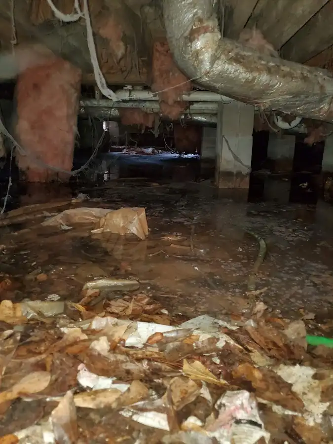 Crawl space flood assessment for Commercial Water Damage Restoration in Lakewood